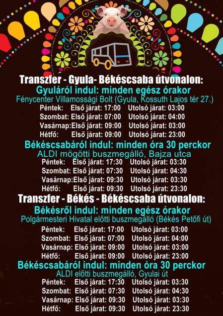 Gyertek busszal! Gyula - Csaba - Békés vonalon a fesztivál ideje alatt!